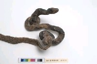 法索(法器)藏品圖，第3張